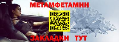 прущие грибы Заводоуковск