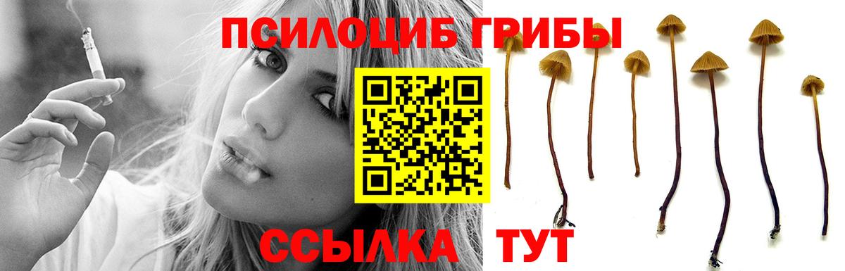 Киселёвск  Галлюциногенные грибы мицелий  Псилоцибиновые грибы мухоморы  Вход с VPN 